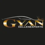 Gyan Dellenexperte
